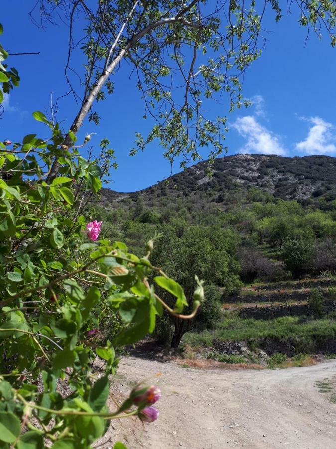 Agrompelo House Villa Agros Exteriör bild